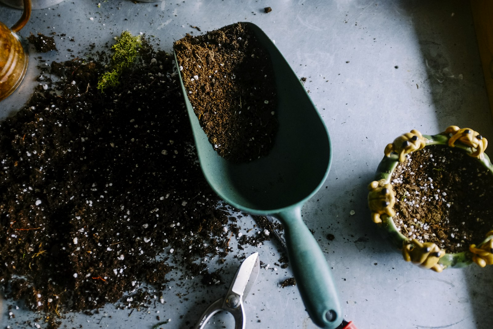 Community gardens Berlin beginner guide
