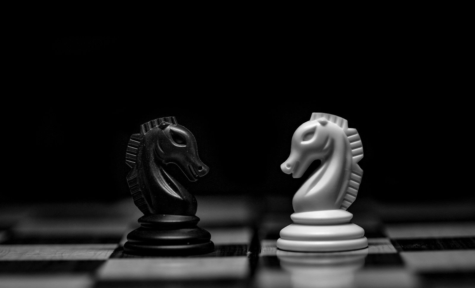 Black and white knights facing each other in a chess game