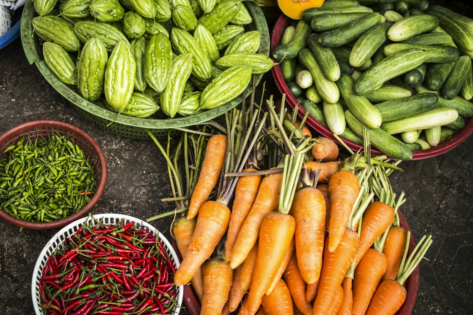 Community gardens in Berlin: urban gardening groups, how to join, and what to expect